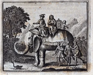 The Rat and the Elephant