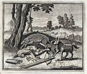 The Wolf and the Hunter
