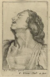 Bust of a Young Man
