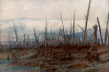 The Cliff of Craonne