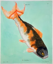 Le Noriroux