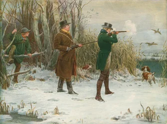 Wild Duck Shooting at Christmas Time