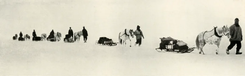 Ponies on the March