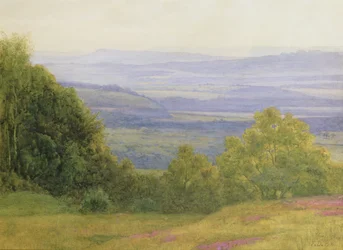 From Kings Ley Green near Haslemere
