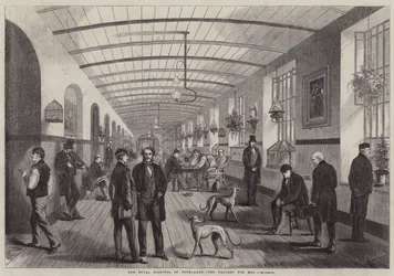 The Royal Hospital of Bethlehem, the Gallery for Men