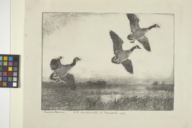 Three Geese
