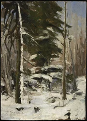 Edge of the Wood