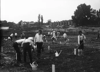 Vacant Lot Garden