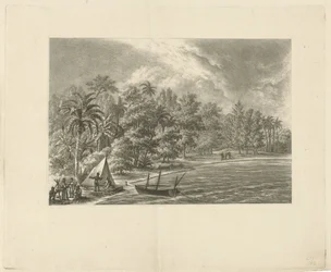 Tropical Landscape