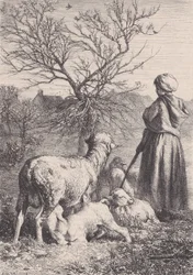 A Shepherdess