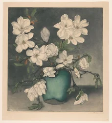Magnolia Branches