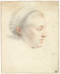 Profile Portrait of a Lady