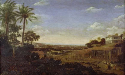Unknown Image