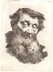 Old Man with Split Gray Beard