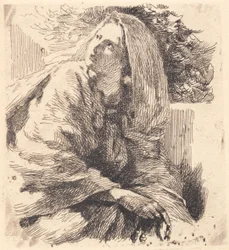 Test Plate: Fragments of 