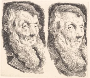 Test Plate of an Old Bearded Man, Turned to the Right Twice