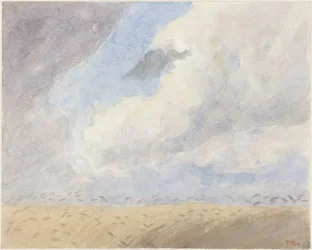 Cornfield