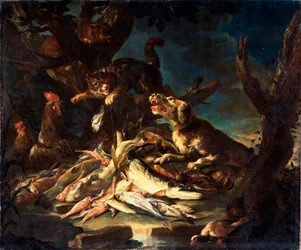 Fish