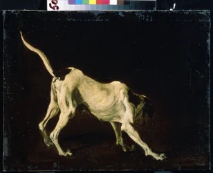 A Dog