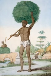 Hindu Servant Cutting Grass, 