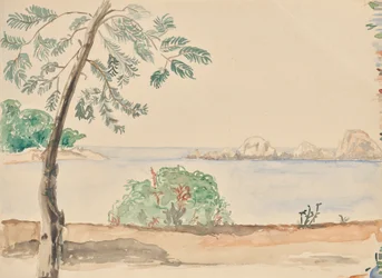 Coast in Florida (?)
