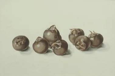 Medlar Fruits