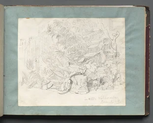 Album with Views of Rome and Surroundings, Landscape Studies, page 24a: In Villa Walkonsky