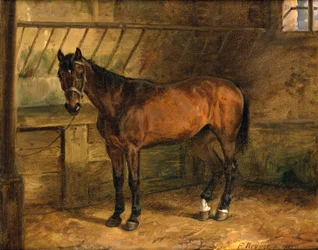 Horse in a Stable