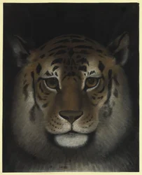 Tiger Head