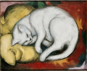 The White Cat