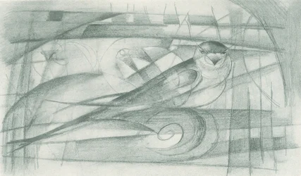 A Swallow