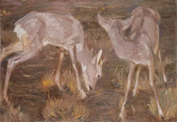 Deer at Dusk