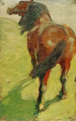 Study of a Horse