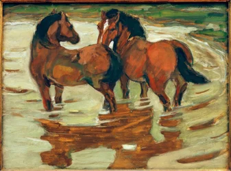 Two Horses in the Water