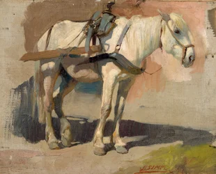Harnessed White Horse