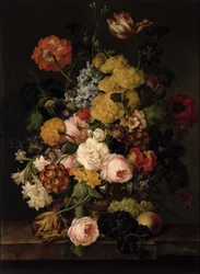 Unknown Image