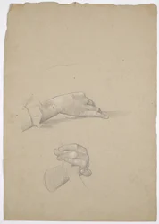 Hand Studies