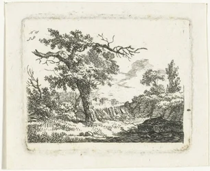Landscape with Tree with Two Dead Branches