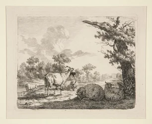 Sheep in a Meadow