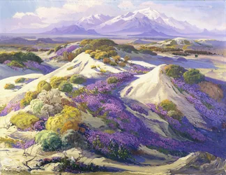 Verbena Clad Dunes