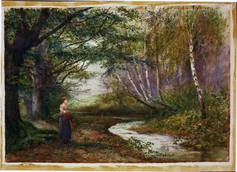 Burnham Beeches, Autumn