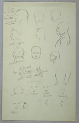 Anatomical Studies