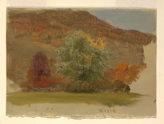 Autumn Landscape