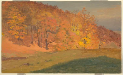 Autumn Woods