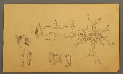 Costume Design of a Jewish Boy Described as a Pharisee, a Fig Tree, and Heads, Palestine
