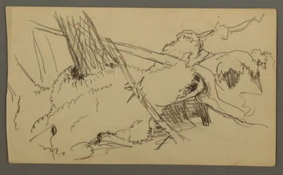 Base of Tree, Boulder, possibly 1877