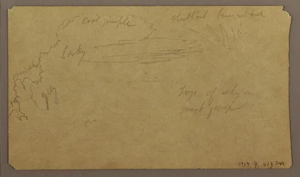 Botanical Sketches; Verso: Clouds, July 1865