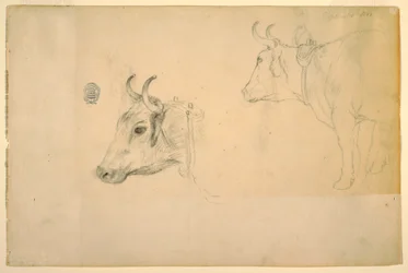 Cattle, September 1844