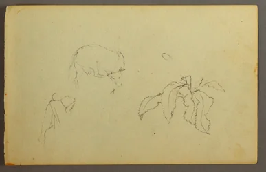 Cow scratching her head, leaf plant, possibly 1844