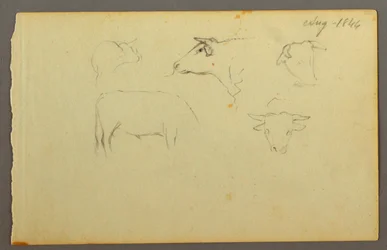 Cows, 1844